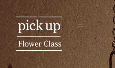 KANEMAKI Flower Class,Antique Art,Ikebana TOKYO